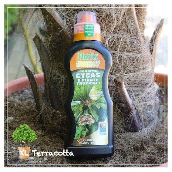 Voeding voor Palm en Olijfbomen, Tuin en Terras, Plantenvoeding, Ophalen of Verzenden, Nieuw