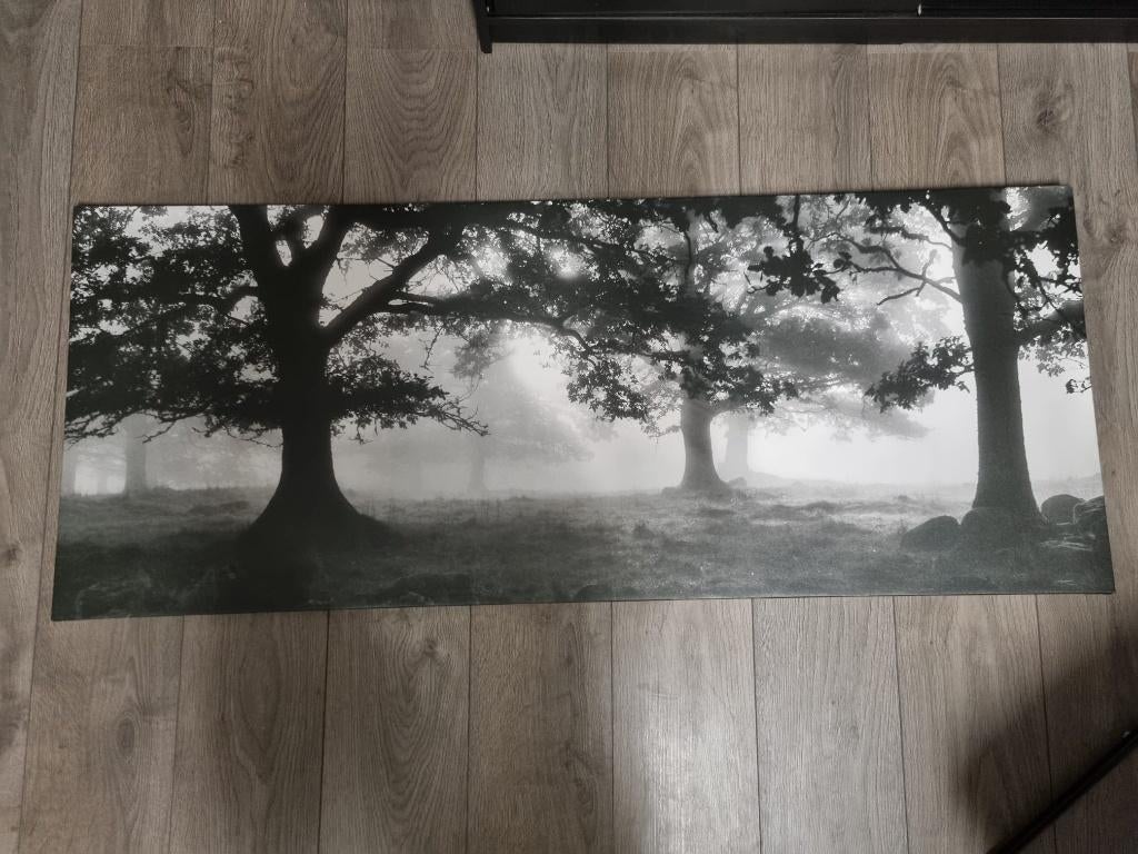 IKEA canvas van bomen zwart/wit, Huis en Inrichting, Woonaccessoires | Schilderijen, Tekeningen en Foto's, Zo goed als nieuw, Print