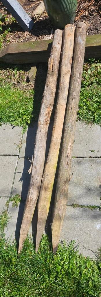 Kastanje palen 6-8 cm doorsnee, 150cm lang, Ophalen