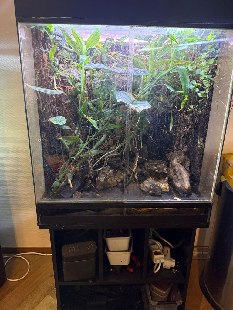 Paludarium, Dieren en Toebehoren, Reptielen en Amfibieën | Toebehoren, Ophalen, Zo goed als nieuw, Terrarium of Paludarium