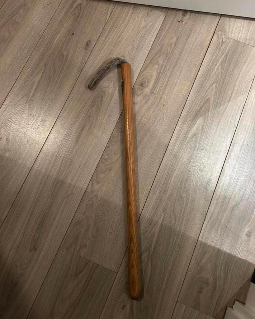 Praam met lange stok, Dieren en Toebehoren, Ophalen of Verzenden, Gebruikt, Overige soorten