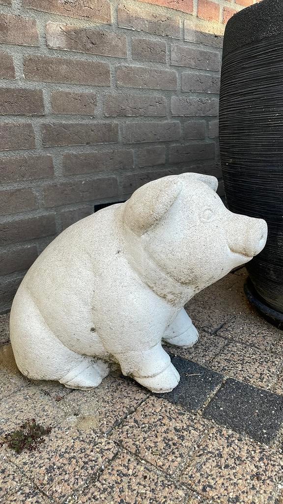 Varken beton, Tuin en Terras, Tuinbeelden, Ophalen, Zo goed als nieuw