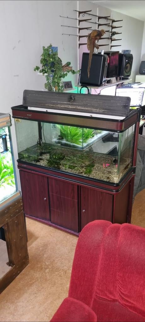 1meter20 aquarium verkeerd in goede staat  met pomp en lamp, Dieren en Toebehoren, Vissen | Aquaria en Toebehoren, Ophalen of Verzenden