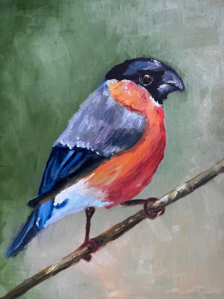 Vogel goudvink, Ophalen of Verzenden