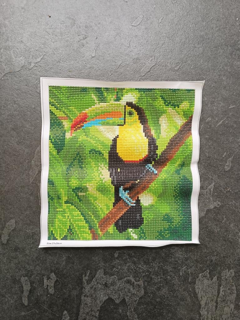 Toekan schilderij, Ophalen of Verzenden, Zo goed als nieuw, Dieren