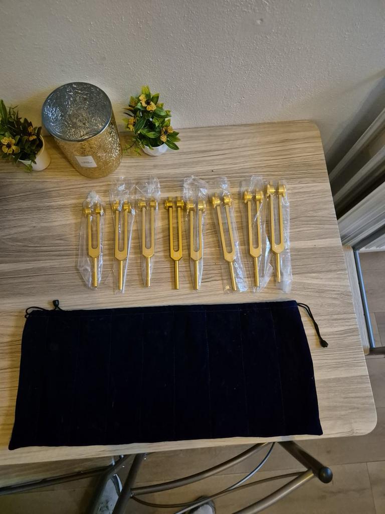 Medische stemvorken, Ophalen of Verzenden, Nieuw