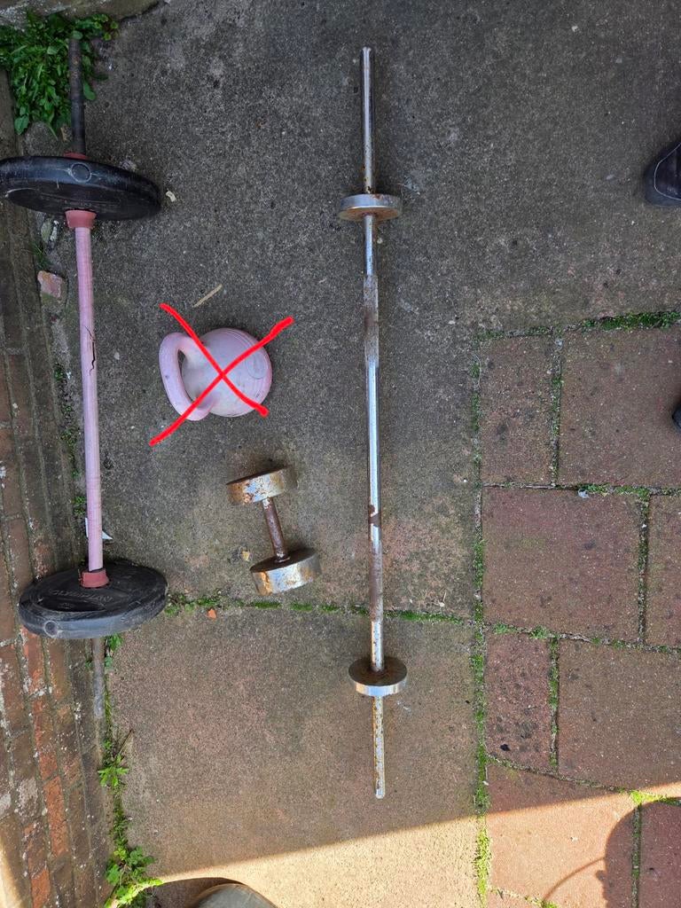 Halters, dumbbel en losse gewichten, Sport en Fitness, Ophalen of Verzenden, Gebruikt, Benen, Dumbbell