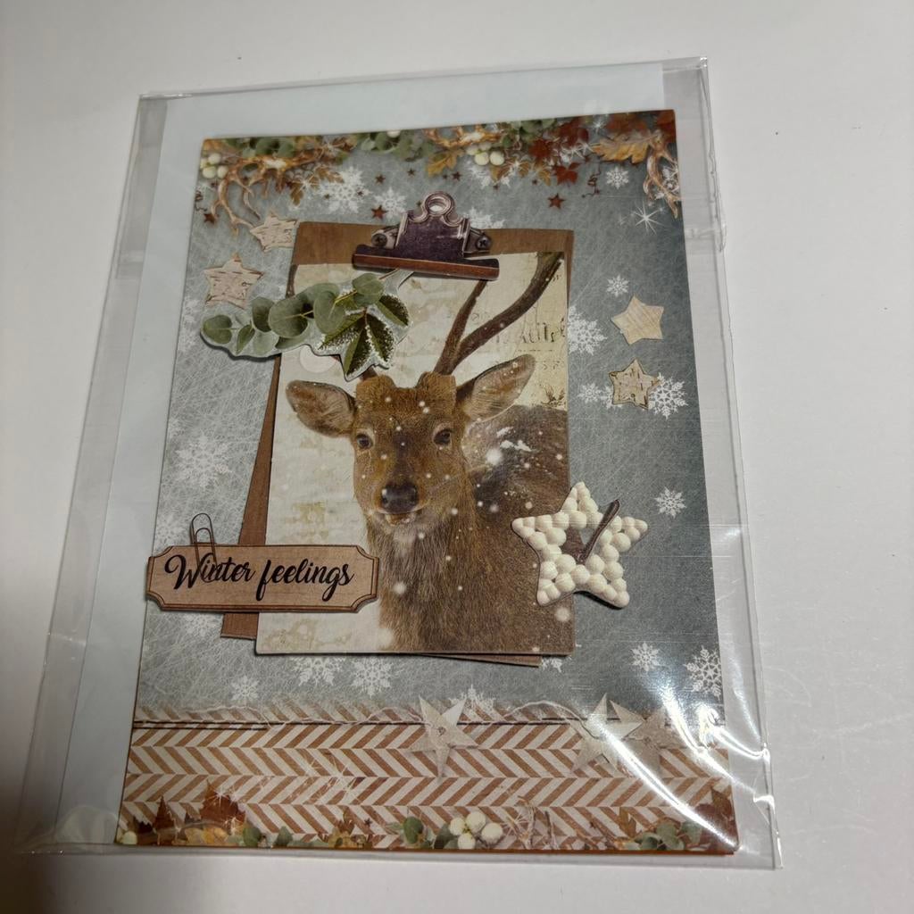 Studio light kerstkaart winter feelings 2, Ophalen of Verzenden, Zo goed als nieuw, Overige thema's