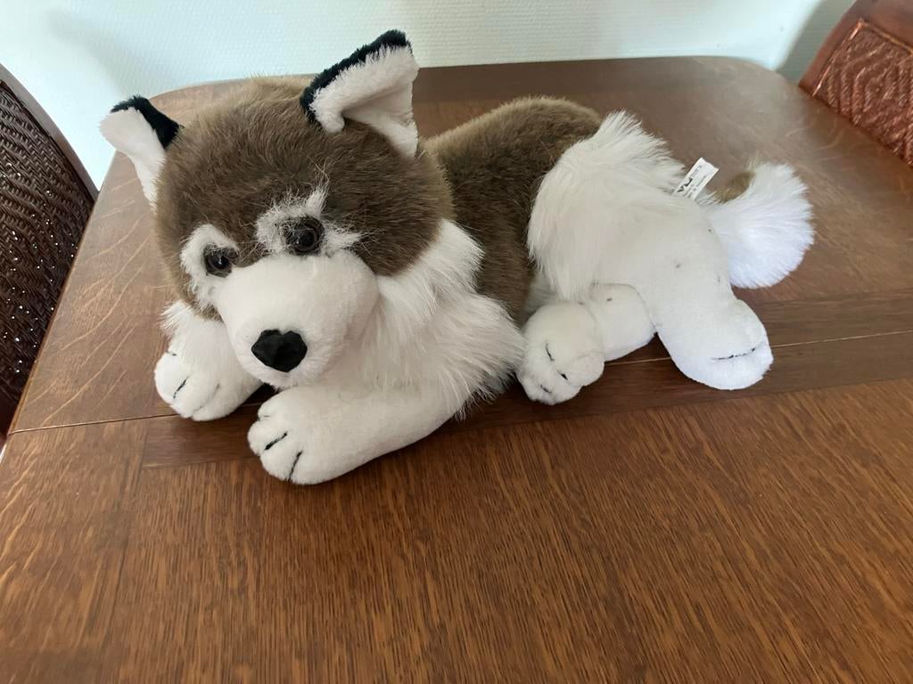 Honden knuffel, 60 cm lang. Heel schoon en mooi!, Zo goed als nieuw, Onbekend, Hond, Ophalen of Verzenden