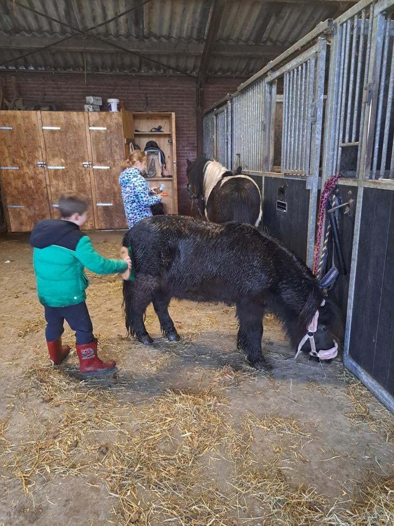 Stal vrij in Mijdrecht