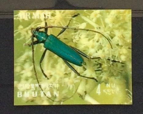 Bhutan Postfris 1969 Boktor Insect Kever 3D Zegel, Ophalen of Verzenden, Postfris, Dier of Natuur