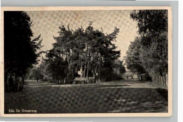 Ede De Driesprong st 1954