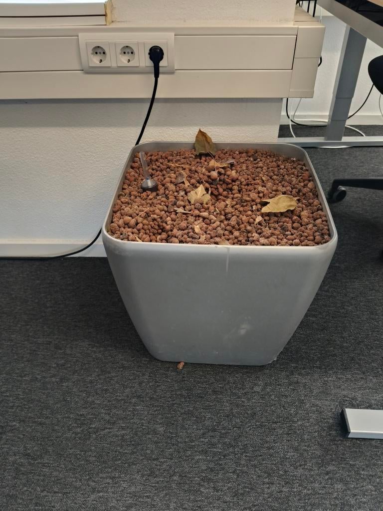 Bloempot, Ophalen of Verzenden, Vierkant