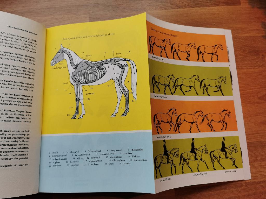 Paarden ruiters paardensport - H.J. Köhler, Boeken, Ophalen of Verzenden, Gelezen, Paarden of Pony's