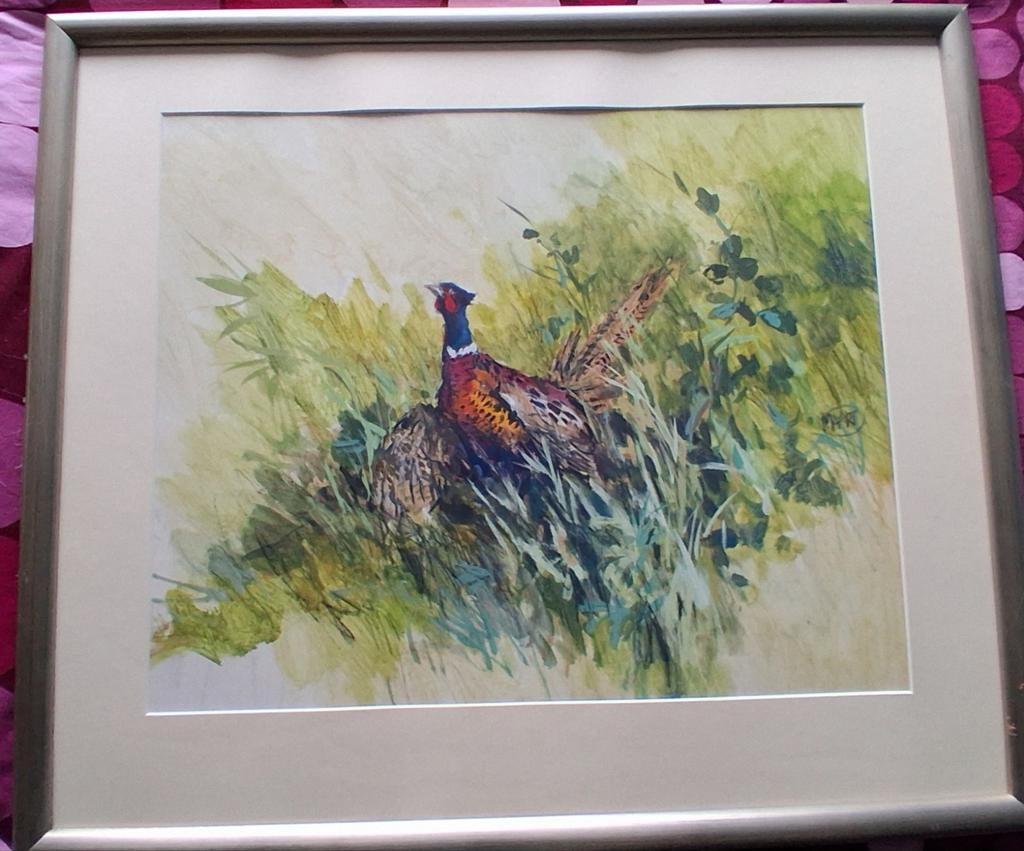 Fazanthaan in het groen.  Sign.  Gouache/papier. 76/72 cm., Ophalen