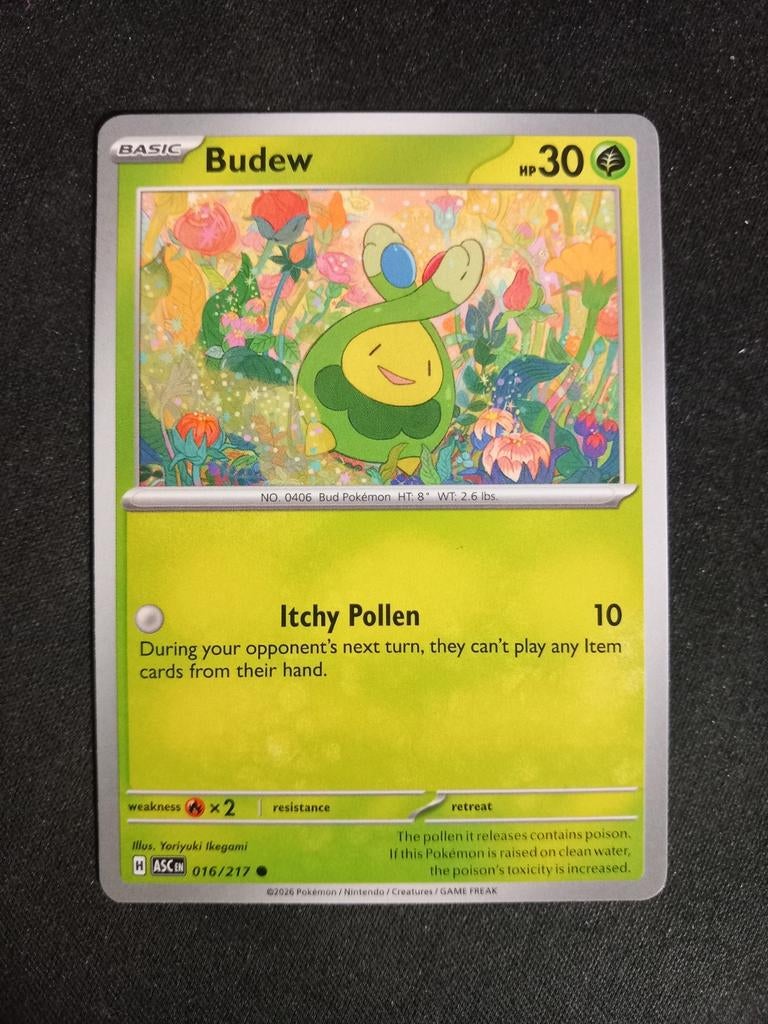 Pokemon Budew 016/217 Ascended Heroes Excellent, Verzenden, Zo goed als nieuw, Losse kaart