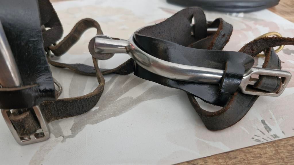 Sporen met lederen riem, Ophalen of Verzenden, Dressuur