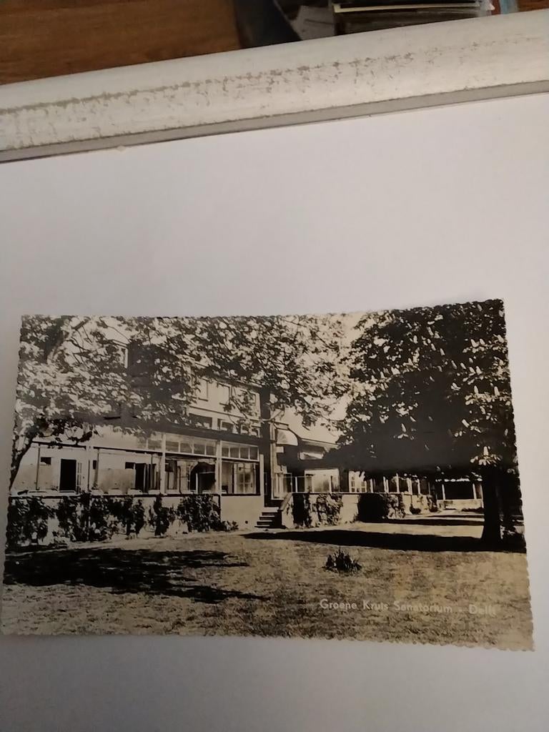 GROENE KRUIS SANATORIUM. DELFT, Verzamelen, Ophalen of Verzenden, Voor 1920, Zuid-Holland
