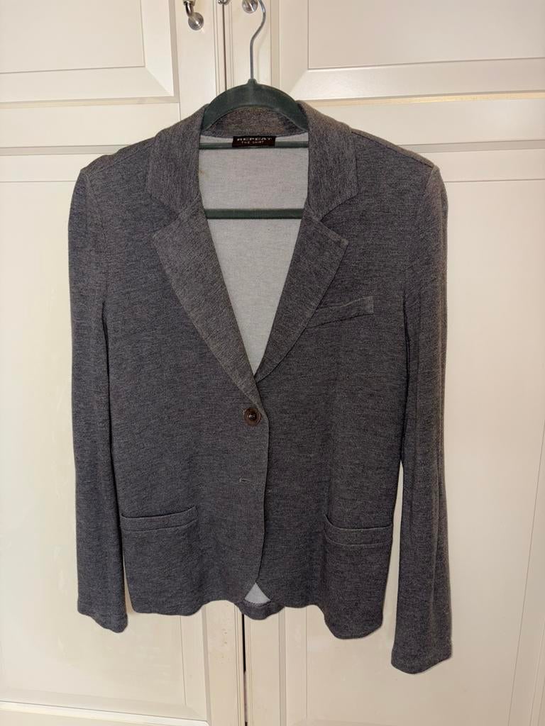 Zgan ** Repeat ** vest / jasje, Ophalen of Verzenden, Zo goed als nieuw, Maat 42/44 (L), Grijs