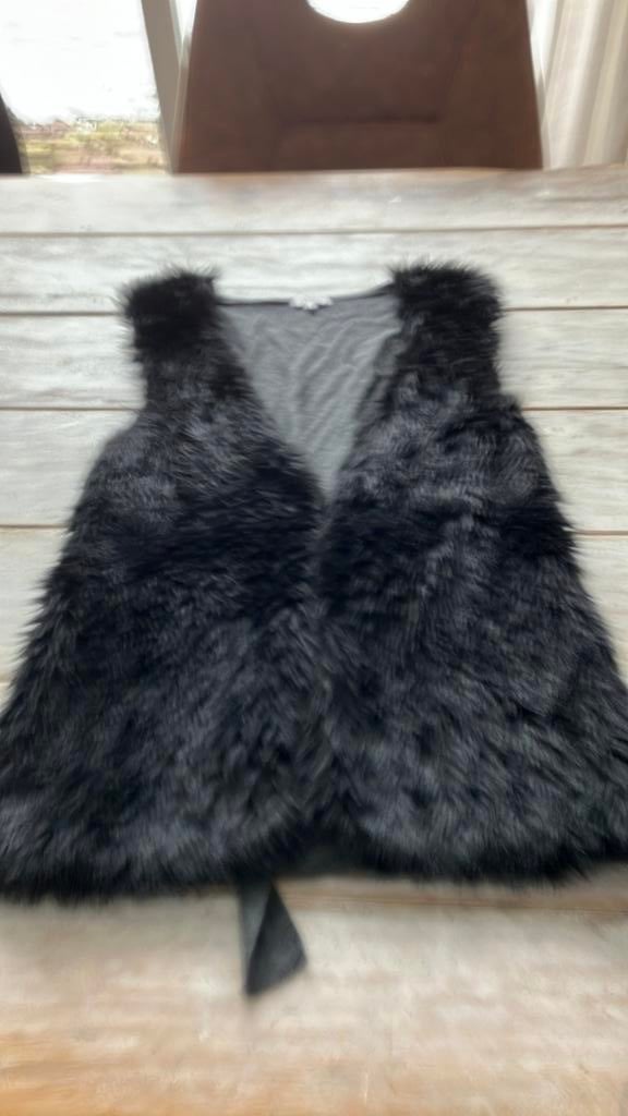 Costes bodywarmer maat M, Kleding | Dames, Ophalen of Verzenden, Zo goed als nieuw, Maat 38/40 (M)