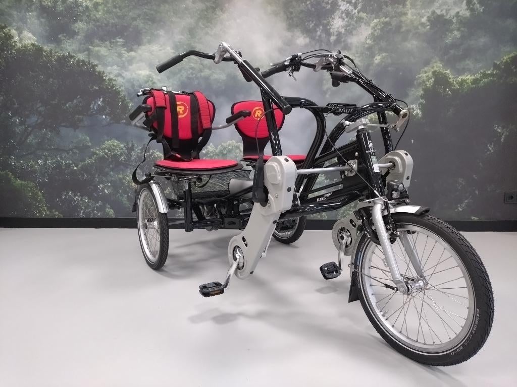 Van Raam fun 2 go duofiets, Ophalen of Verzenden, Gebruikt