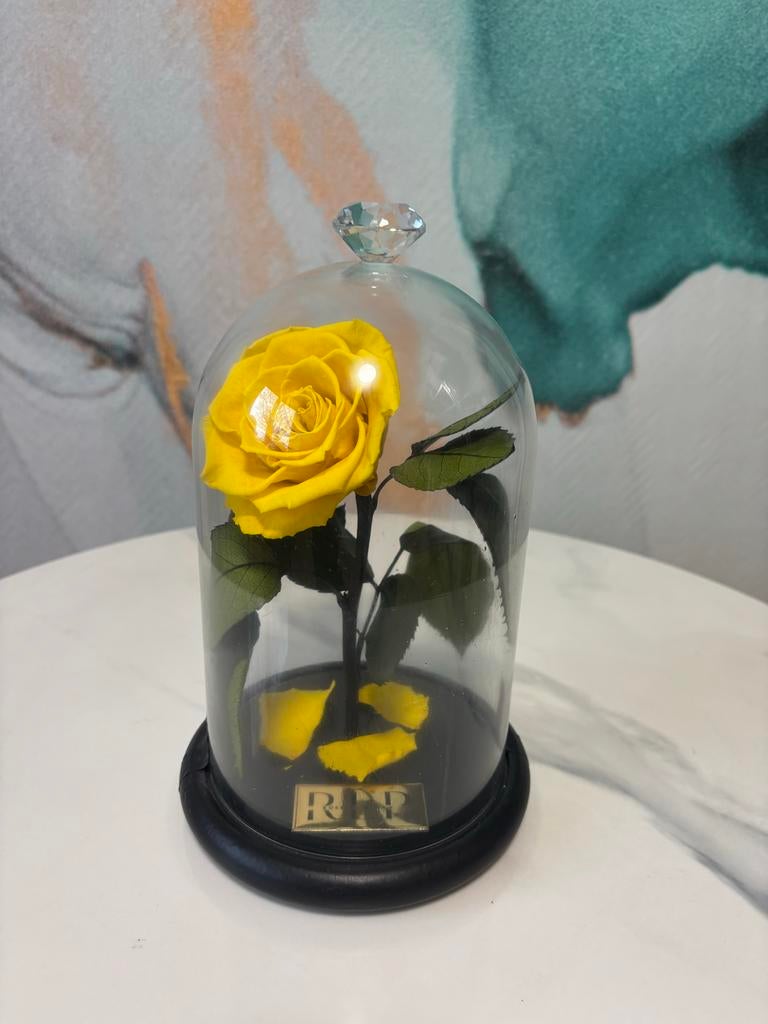 Longliferoos in stolp - Valentijn cadeau!, Ophalen of Verzenden, Nieuw