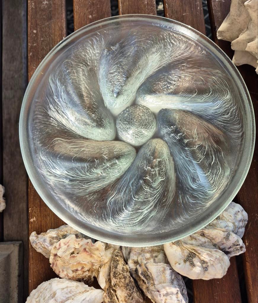 Arcoroc France 5 oesterborden,mosselborden,zeebanketborden., Ophalen of Verzenden