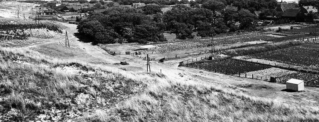 Vlieland panorama dorp 1950, Ophalen of Verzenden, 1940 tot 1960, Ongelopen, Waddeneilanden