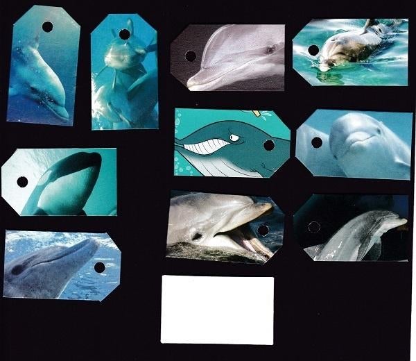 0060) dolfijn, haai, walvis labeltjes, Ophalen of Verzenden, Zo goed als nieuw, Overige typen