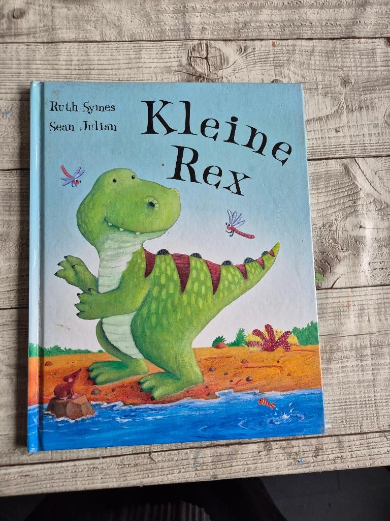 Boek Kleine Rex. Ruth Symes. Sean Julian. Dinosaurus dino, Boeken, Kinderboeken | Kleuters, Ophalen, Zo goed als nieuw, Ruth Symes