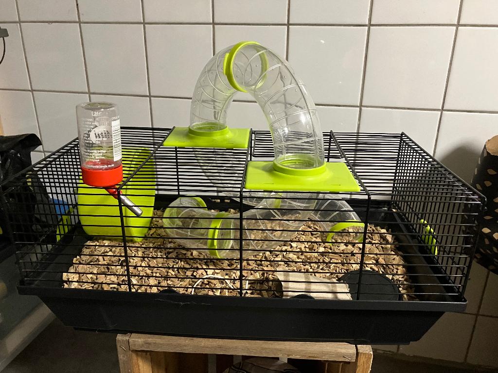 Hamsterkooi incl toebehoren, Minder dan 60 cm, Kooi, Minder dan 75 cm, Ophalen of Verzenden