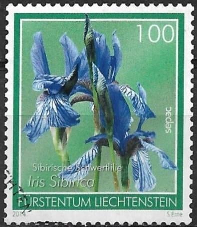 Liechtenstein 2014 mi.1718 flora SIBERISCHE IRIS nom.100, Verzenden, Overige landen, Gestempeld