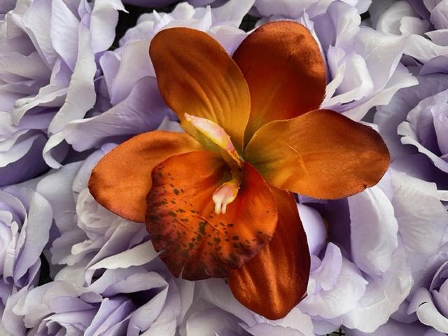 Kunstbloemen bruin nieuw, versiering, decoratie, bloemen, Binnen, 3811JM, Info@rodebeagle.nl, Rode Beagle kunstbloemen