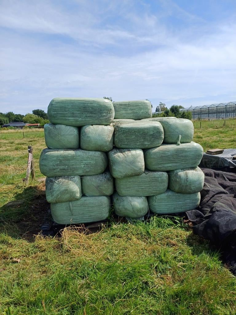 Kleine kuilbalen, Dieren en Toebehoren, Dierenvoeding, Ophalen of Verzenden, Vee