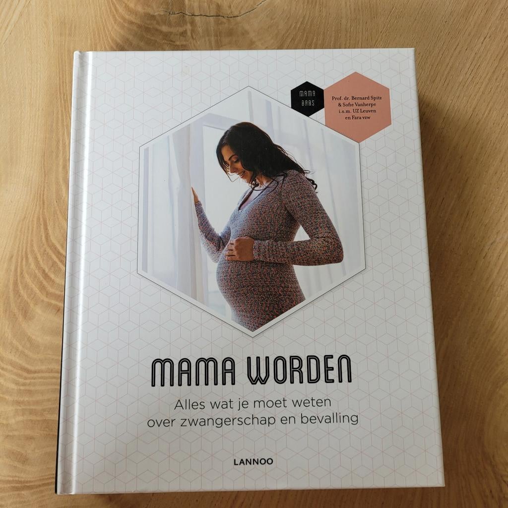 Boek Mama Worden, Boeken, Ophalen of Verzenden, Zo goed als nieuw, Zwangerschap en Bevalling