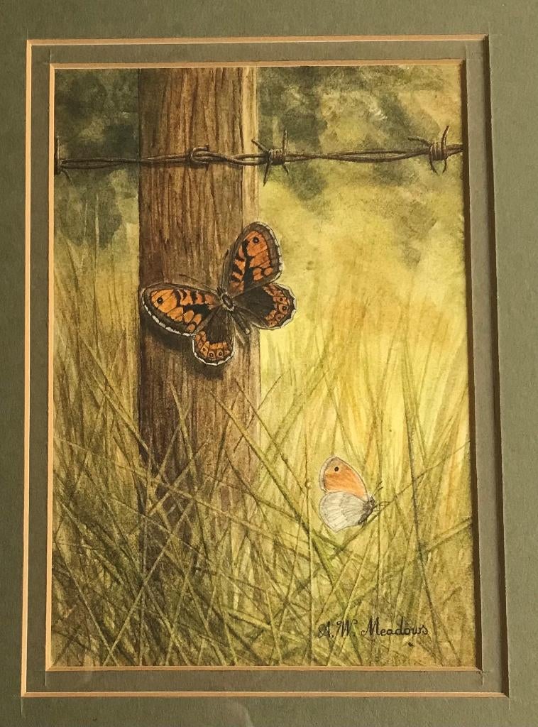 Aquarel en tekening - ingelijst onder glas - A.W. Meadows, Antiek en Kunst, Kunst | Schilderijen | Klassiek, Ophalen of Verzenden