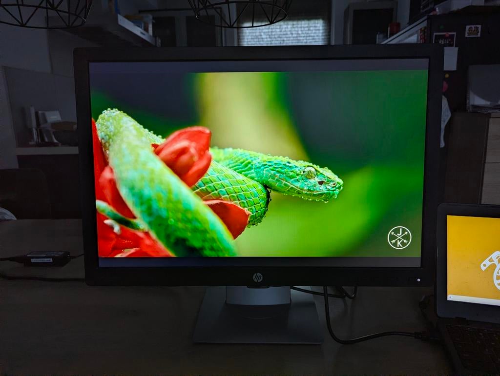 Keurige grote HP E242 IPS LCD monitor 24" 1900x1200, Computers en Software, Monitoren, Ophalen, Gebruikt, IPS, Full HD