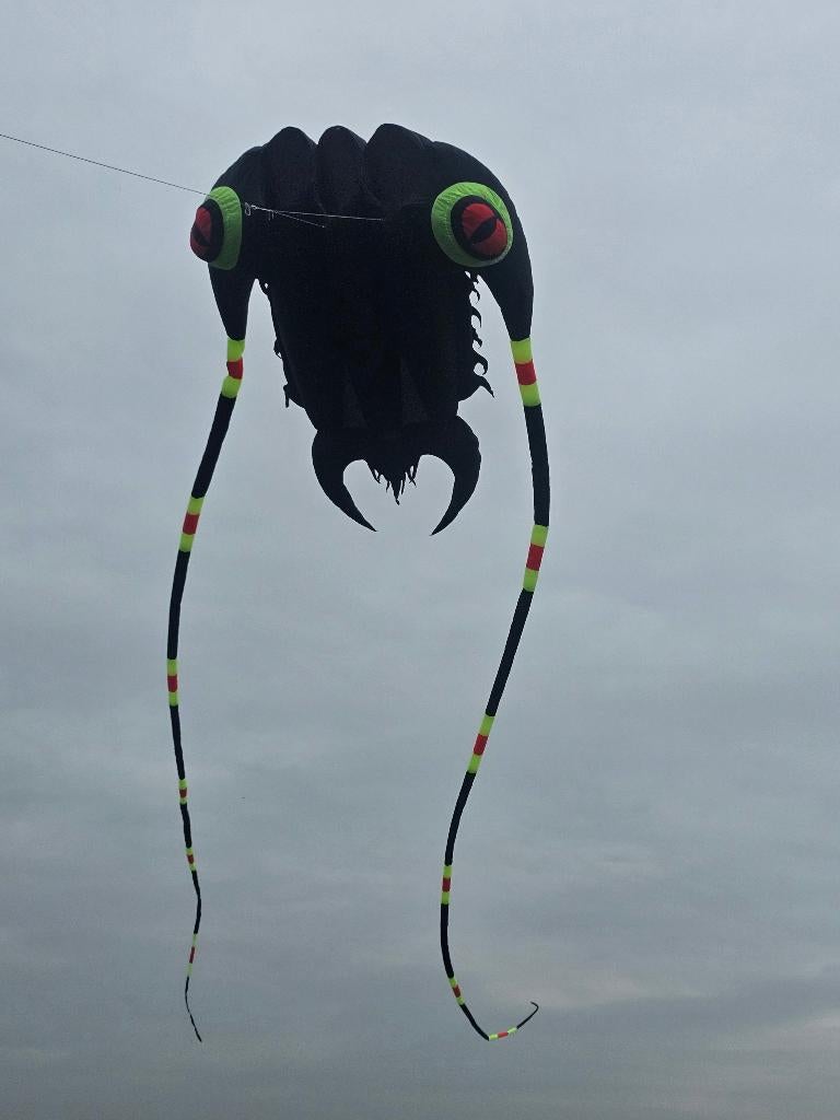 verschillende vliegers, F, Fdggdfd, Fff, Ophalen of Verzenden