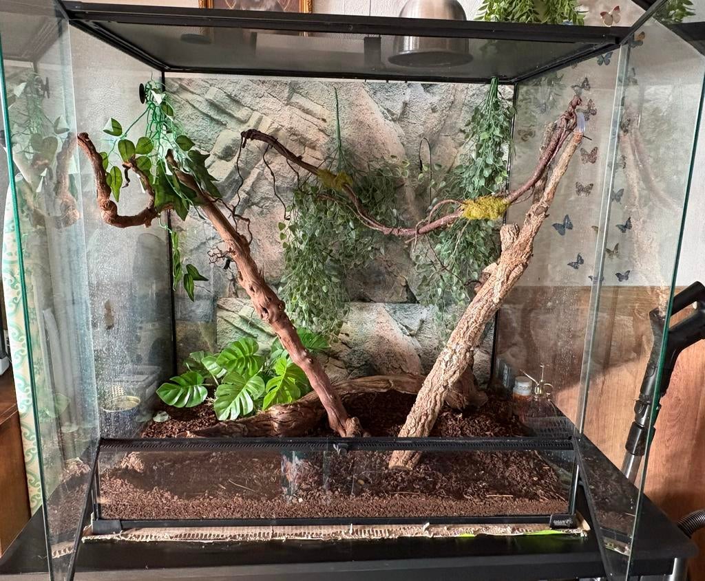 Terrarium met toebehoren, Ophalen, Zo goed als nieuw