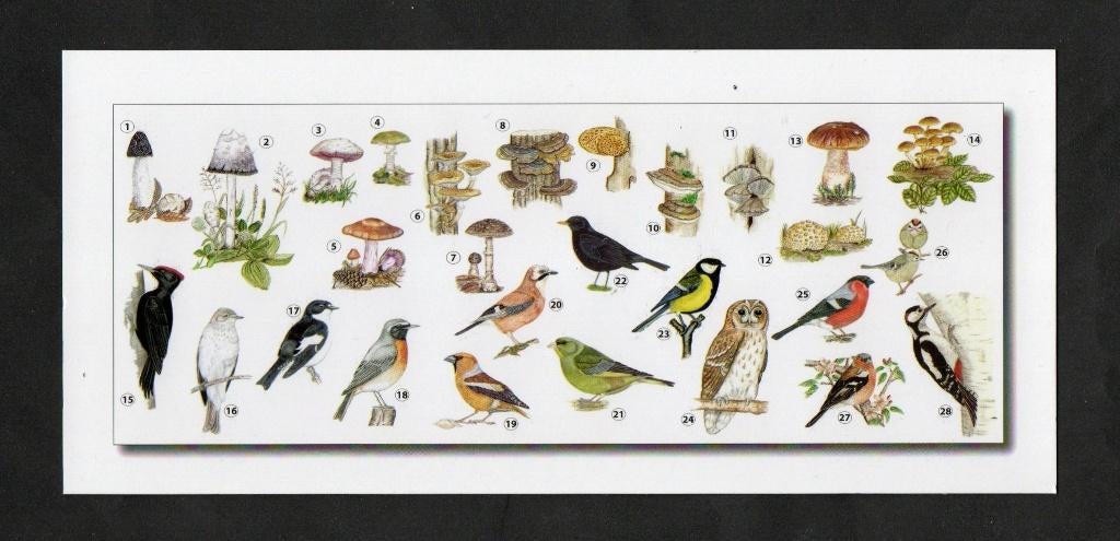 Merel Specht Vink Koolmees Bosuil Stinkzwam Inktzwam., Verzamelen, Ophalen of Verzenden, 1980 tot heden, Ongelopen, Vogel