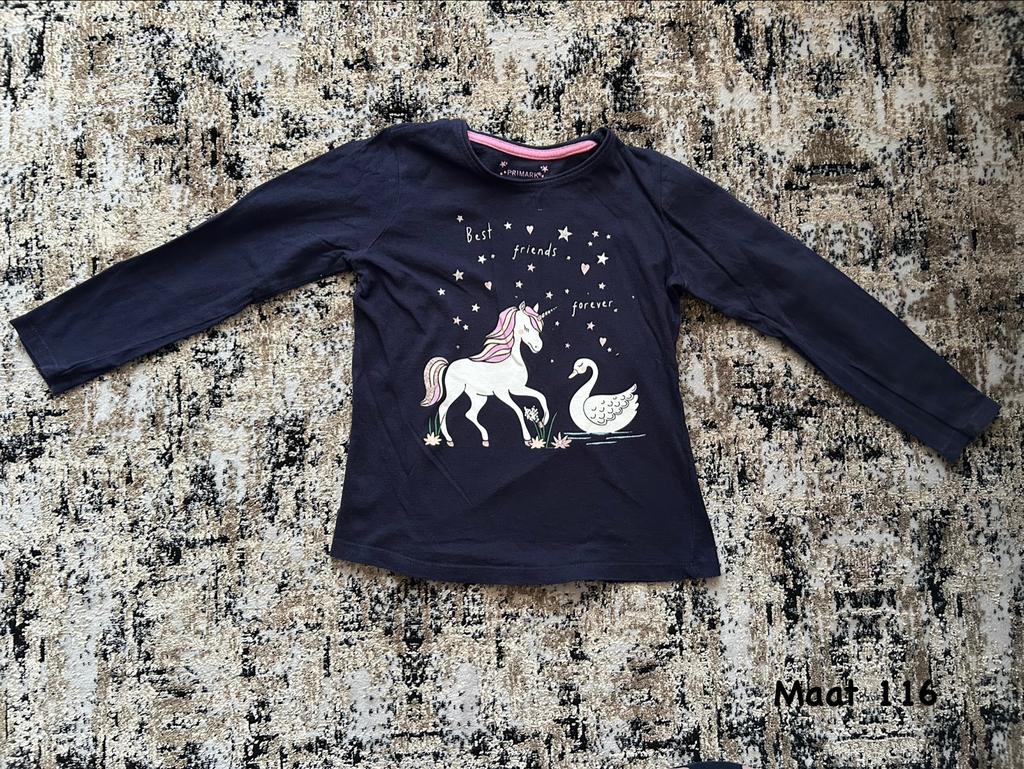 Leuk shirt met eenhoorn maat 116, Ophalen of Verzenden, Zo goed als nieuw, Meisje, Shirt of Longsleeve
