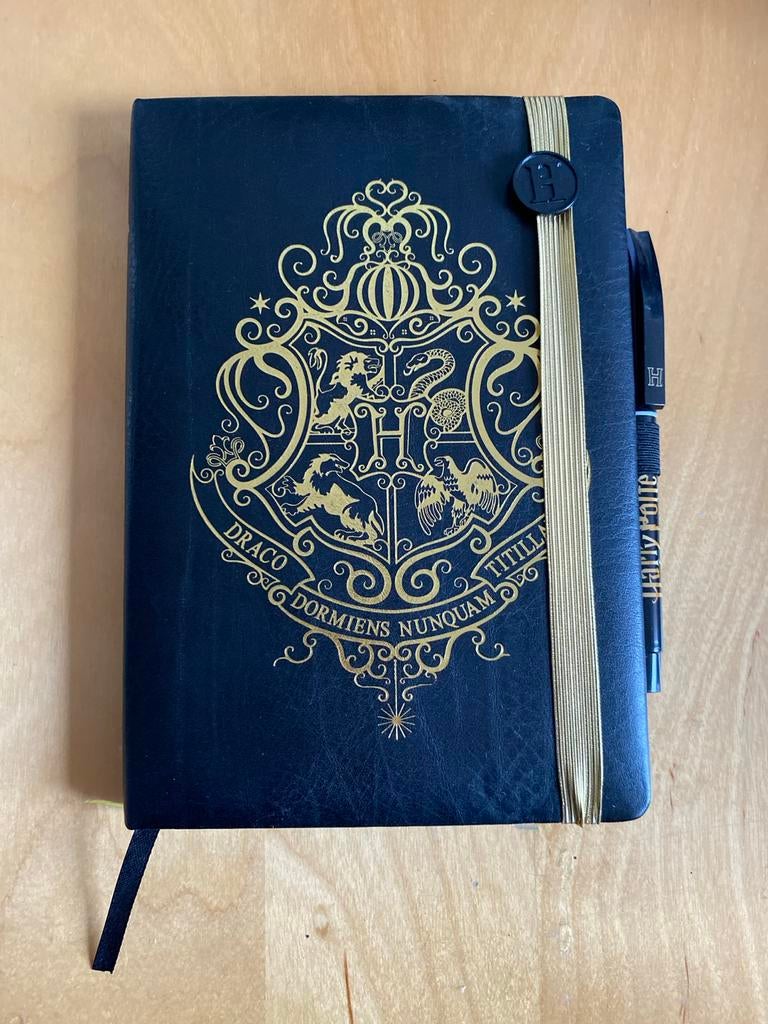 Harry Potter zwart leren notitieboek/ schetsboek, Diversen, Notitieboeken, Ophalen of Verzenden, Nieuw, A5