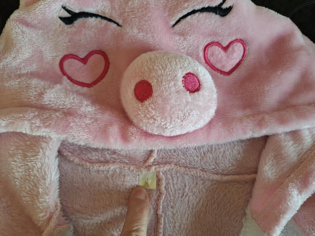 Varkens onesie, Ophalen of Verzenden, Zo goed als nieuw, Carnaval