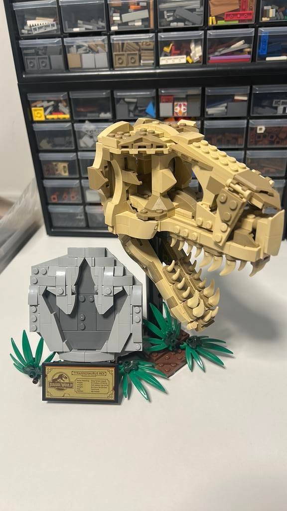 Lego 76964 T-Rex Schedel incl instructies, Ophalen of Verzenden, Zo goed als nieuw