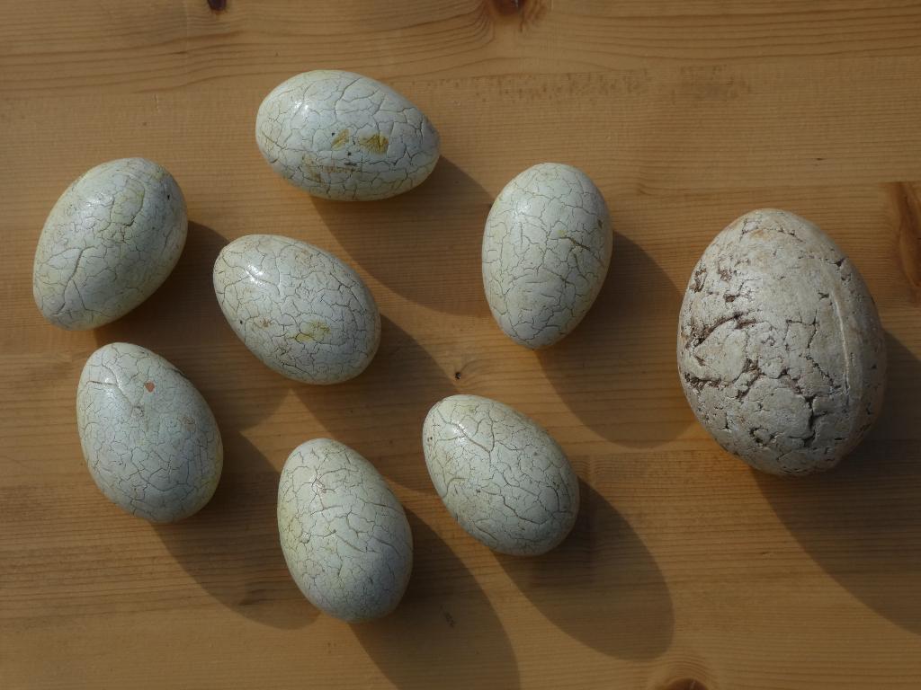 Kunst Eieren voor Pasen, Ophalen, Gebruikt