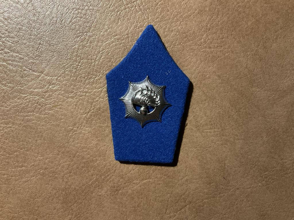 Rijkspolitie kraagembleem, Verzamelen, Ophalen of Verzenden, Overige soorten, Nederland, Embleem of Badge