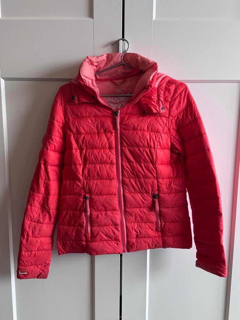 Superdry jas rood/roze maat M, Kleding | Dames, Jassen | Winter, Gedragen, Maat 38/40 (M), Ophalen of Verzenden
