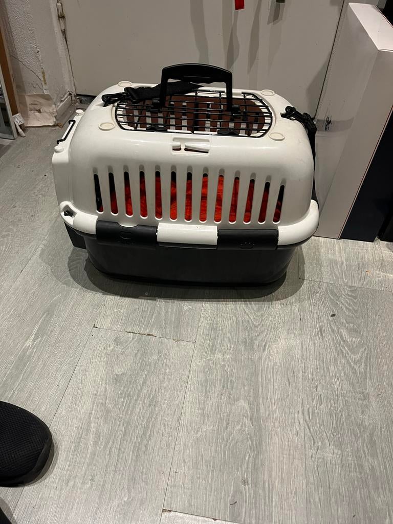 Transportbox 50x30,hoog32cm, Dieren en Toebehoren, Ophalen of Verzenden