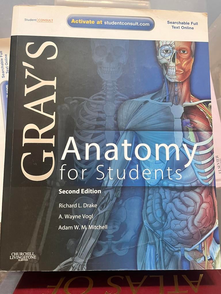 Gray’s Anatomy 2nd edition, Ophalen of Verzenden, Beta, Zo goed als nieuw, WO