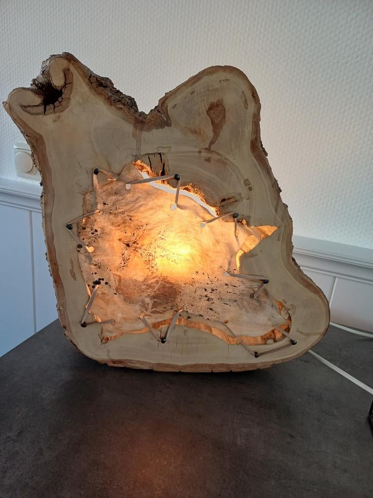 Unieke handgemaakte houten  lamp van boomstam, Ophalen of Verzenden